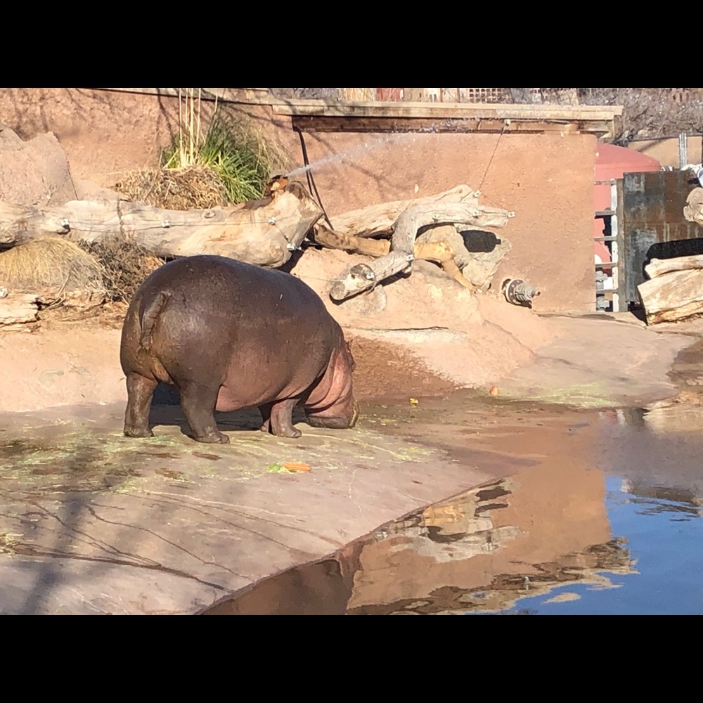 Meet your Posher, Marta